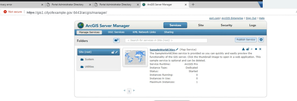 Checkpoint 05: ArcGIS Server Manager.